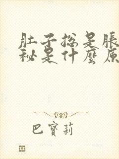 肚子总是胀气便秘是什么原因