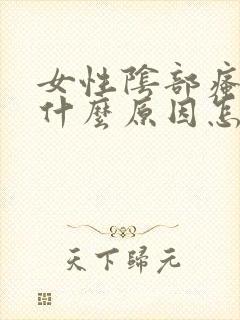 女性阴部瘙痒是什么原因怎么办