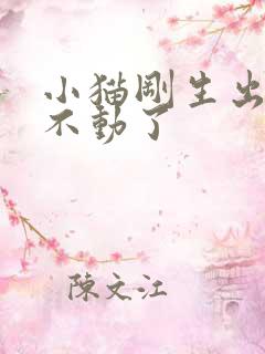 小猫刚生出来就不动了