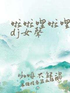 啦啦哩啦哩啦啦dj女声