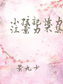 小孩记忆力差,注意力不集中怎么回事