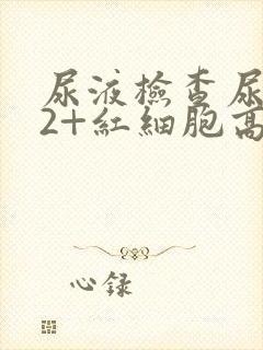 尿液检查尿隐血2+红细胞高