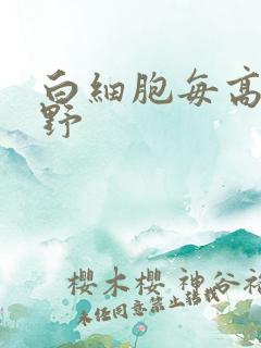 白细胞每高倍视野