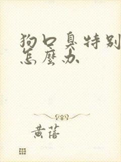 狗口臭特别严重怎么办