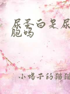 尿蛋白是尿白细胞吗