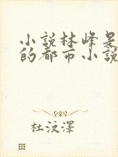 小说林峰是主角的都市小说