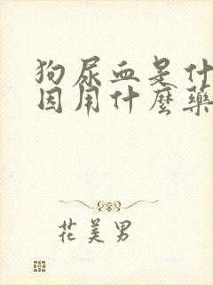 狗尿血是什么原因用什么药