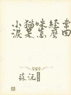 小猫咪经常流眼泪是怎么回事