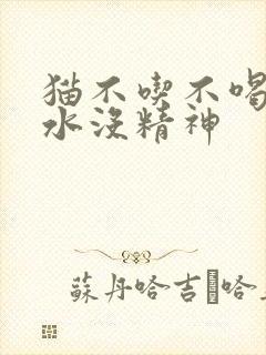 猫不吃不喝吐黄水没精神