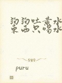 狗狗吐黄水不吃东西只喝水