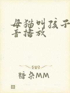 母猫叫孩子的声音播放