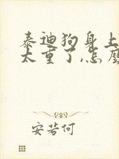 泰迪狗身上味道太重了,怎么办