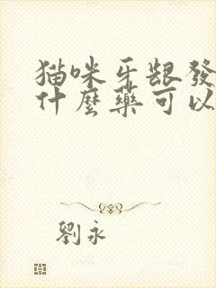 猫咪牙龈发炎吃什么药可以消炎