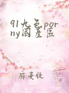 91九色porny国产区