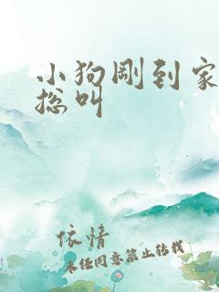 小狗刚到家晚上总叫