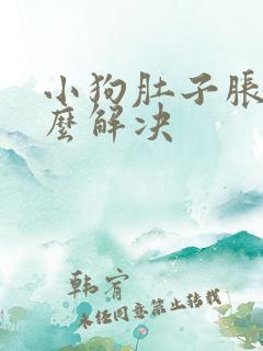 小狗肚子胀气怎么解决