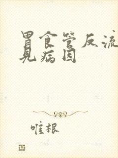 胃食管反流的常见病因