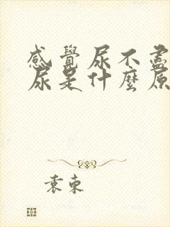 感觉尿不尽总想尿是什么原因