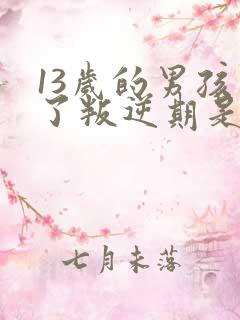 13岁的男孩到了叛逆期是怎么教