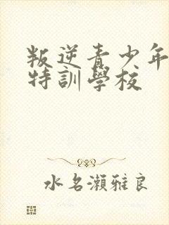 叛逆青少年管教特训学校