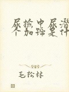 尿检中尿潜血3个加号是什么原因