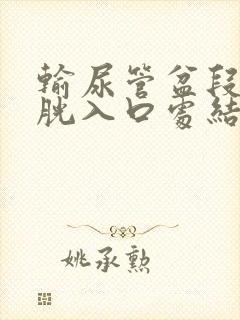 输尿管盆段近膀胱入口处结石