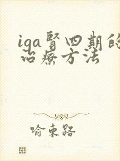 iga肾四期的治疗方法
