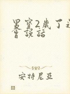 男宝2岁了还不会说话