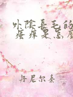 外阴长毛的地方 瘙痒是怎么回事