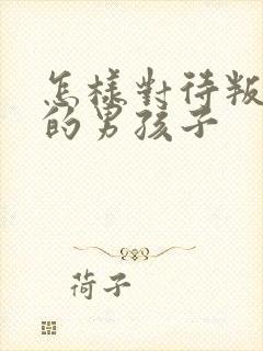 怎样对待叛逆期的男孩子