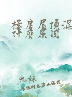 楼房屋顶漏水是什么原因