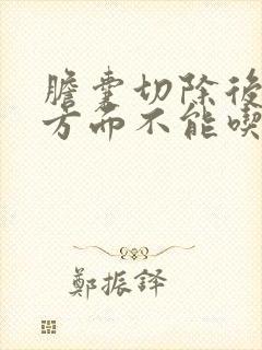 胆囊切除后饮食方面不能吃什么