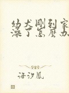 幼犬刚到家就洗澡了怎么办