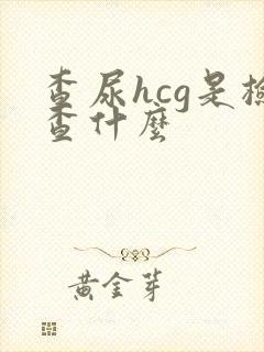 查尿hcg是检查什么