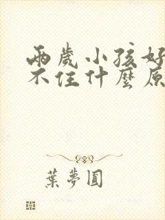 两岁小孩好动坐不住什么原因