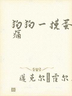 狗狗一摸蛋蛋就痛