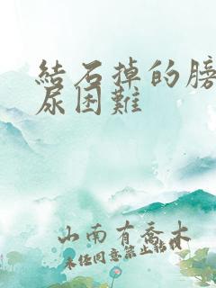 结石掉的膀胱排尿困难