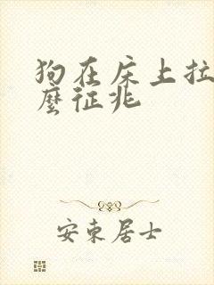 狗在床上拉尿什么征兆