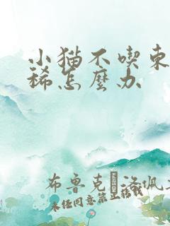 小猫不吃东西拉稀怎么办