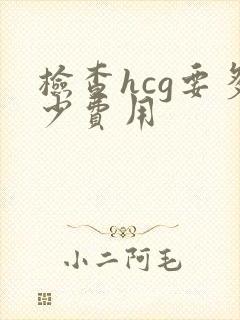 检查hcg要多少费用