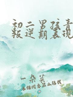 初二男孩青春期叛逆期表现