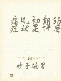 痛风初期的主要症状是什么