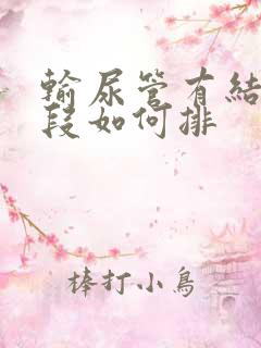 输尿管有结石下段如何排