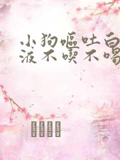 小狗呕吐白色粘液不吃不喝没精神