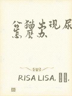 公猫出现尿血,怎么办