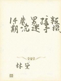 14岁男孩叛逆期沉迷手机不服管教离家出走