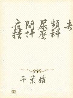 夜间尿频去医院挂什么科