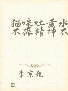 猫咪吐黄水食欲不振精神不好