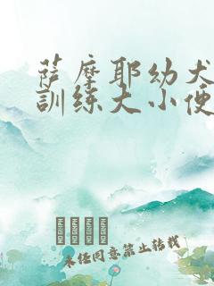 萨摩耶幼犬怎么训练大小便