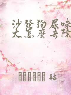 沙发狗尿味道很大怎么去除